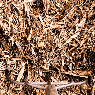 Tree Mulch